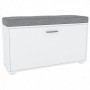 Shoe cabinet PELAGO 91