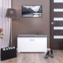 Shoe cabinet PELAGO 91