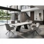 Chair RAGNAR light gray