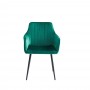 Chair ANEJ green